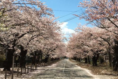 Aktiviteter, ホテルひさご (ホテルひさご) in Minamisoma Aktiviteter, ホテルひさご (ホテルひさご) in Minamisoma