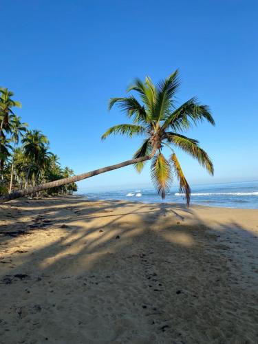 plage, Hotel Casa Coson in Las Terrenas plage, Hotel Casa Coson in Las Terrenas