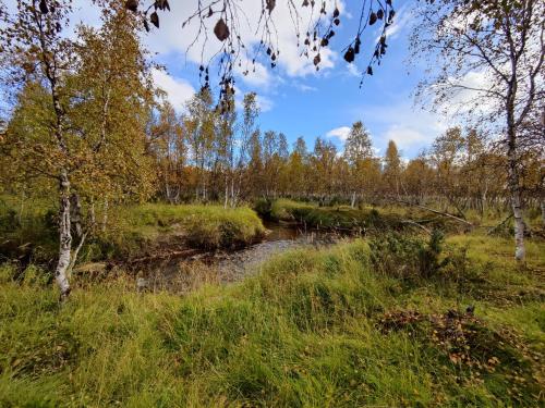 Omgeving, Villa Lavijoki in Enontekio Omgeving, Villa Lavijoki in Enontekio