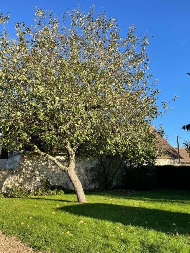 La grange Mirabelle in Verneuil-sur-Avre La grange Mirabelle in Verneuil-sur-Avre