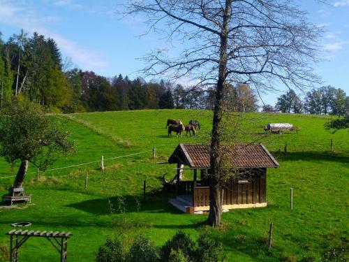 Surrounding environment, Holzer-Hof in Königsdorf (Bavaria) Surrounding environment, Holzer-Hof in Königsdorf (Bavaria)