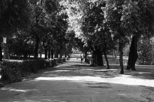Facilities, Priscilla Hotel in Via Veneto Facilities, Priscilla Hotel in Via Veneto