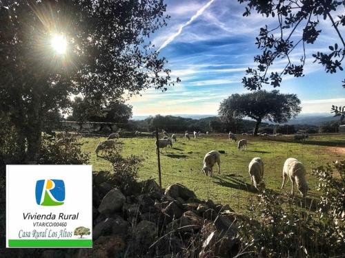 Sport i aktivnosti, CASA RURAL LOS ALTOS in Fuente Obejuna Sport i aktivnosti, CASA RURAL LOS ALTOS in Fuente Obejuna