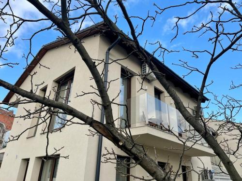 Nature in the City lower storey Bestern in Ujszeged Nature in the City lower storey Bestern in Ujszeged