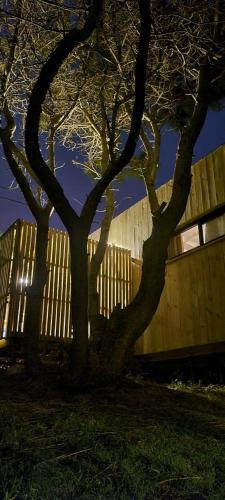 La del Pino in La Pedrera La del Pino in La Pedrera