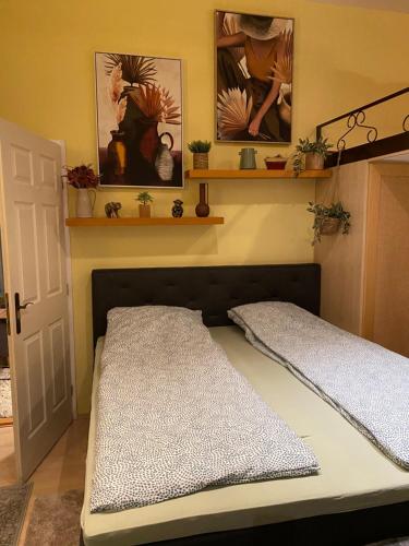 Jungle Story Apartment by Millenaris Park with Free Parking