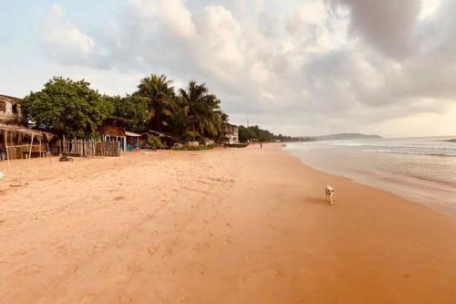 Plaj, Kangaroo Pouch Beach Resort in Dixcove Plaj, Kangaroo Pouch Beach Resort in Dixcove