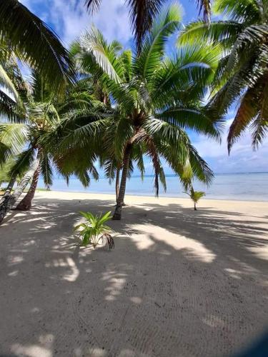 Paparei Beachfront Bungalows, Aitutaki in Arutanga Paparei Beachfront Bungalows, Aitutaki in Arutanga