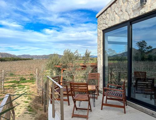 Viñedo Casa la Noria (Vinedo Casa la Noria) in El Porvenir Viñedo Casa la Noria (Vinedo Casa la Noria) in El Porvenir