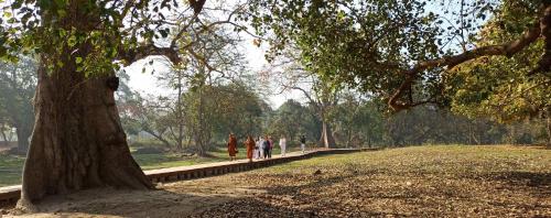 Tempat wisata terdekat, The Lumbini Village Lodge in Lumbini Tempat wisata terdekat, The Lumbini Village Lodge in Lumbini