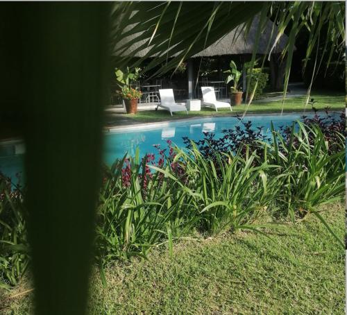 The Residence Chobe Villa in Kasane The Residence Chobe Villa in Kasane