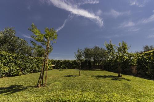 Garden, Appartamento Mimosa in Ripa Teatina Garden, Appartamento Mimosa in Ripa Teatina