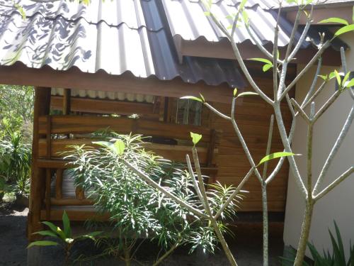 パサイ ビーチ ロッジ17