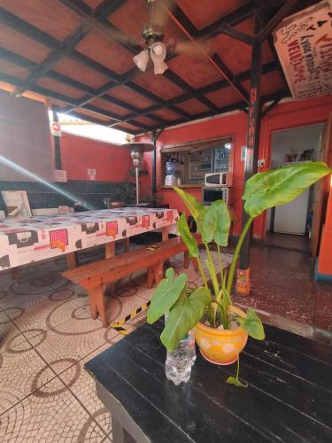 مطبخ, Aji Verde Hostel in لاسيرينا مطبخ, Aji Verde Hostel in لاسيرينا