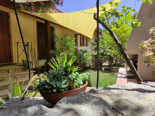 S'Iscala apartment in ลานุเซอิ S'Iscala apartment in ลานุเซอิ