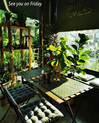 26 ベッド アンド コーヒー4