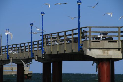 плаж, Pension Inselparadies Zingst in Цингст плаж, Pension Inselparadies Zingst in Цингст