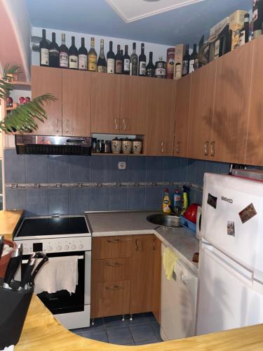 Konyha, PA Max apartment in Trojica Konyha, PA Max apartment in Trojica