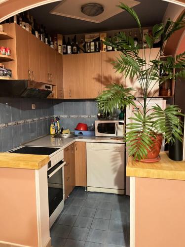 PA Max apartment in تروجيكا PA Max apartment in تروجيكا