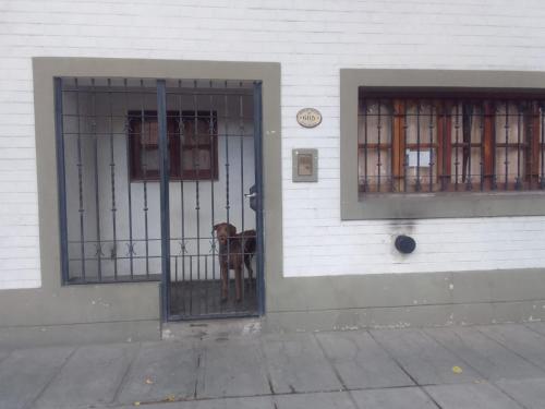 Bejárat, Suite Artistica near Gov. Francisco Gabrielli nemzetközi repülőtér Bejárat, Suite Artistica near Gov. Francisco Gabrielli nemzetközi repülőtér