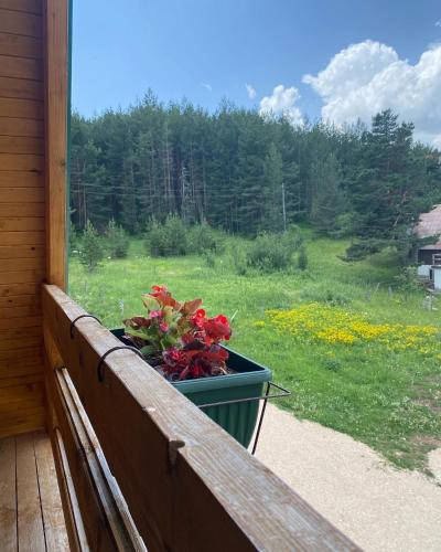 Paradise Zabljak in Zabljak Paradise Zabljak in Zabljak