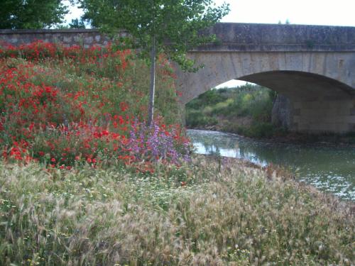 Rekreacijski sadržaji, Quinta del Canal in Tamara De Campos Rekreacijski sadržaji, Quinta del Canal in Tamara De Campos
