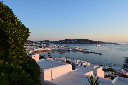 المنظر الخارجي, فندق ميكونوس فيو (Mykonos View Hotel) in ميكونوس المنظر الخارجي, فندق ميكونوس فيو (Mykonos View Hotel) in ميكونوس