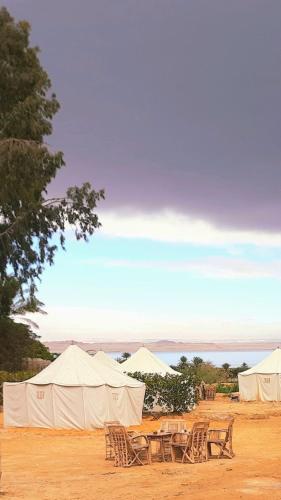 Tunis Camp Fayoum in Faiyum Tunis Camp Fayoum in Faiyum