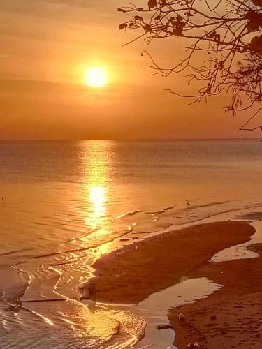 Beach, ไชยาซีวิวโฮมสเตย์ (Chaiya Seaview Homestay) near Wat Phra Borommathat Chaiya Worawihan Beach, ไชยาซีวิวโฮมสเตย์ (Chaiya Seaview Homestay) near Wat Phra Borommathat Chaiya Worawihan
