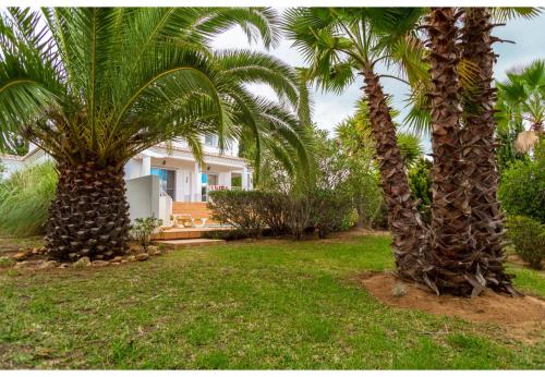 Casa Figueira in คาวีโร Casa Figueira in คาวีโร