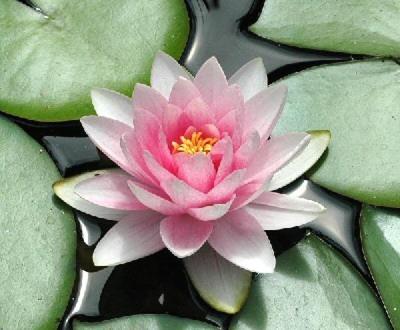 This photo about Villa Paris shared on HyHotel.com