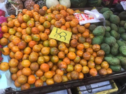 トリプル パームズ ハウス7