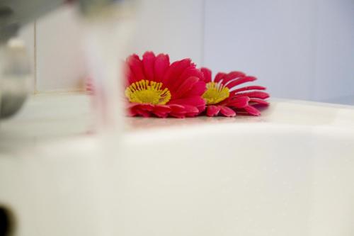 This photo about Bianchi Hotel & Residence shared on HyHotel.com