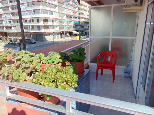 This photo about Hotel Libertador shared on HyHotel.com