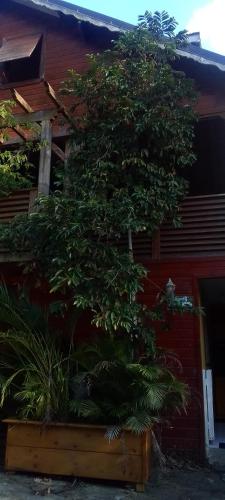 KAZA CHARLY STUDIO in Les Abymes KAZA CHARLY STUDIO in Les Abymes
