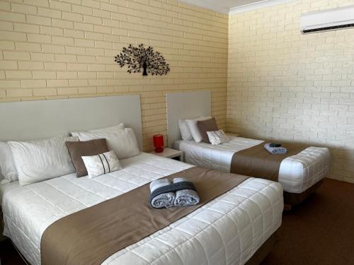 Jillaroo Motor Inn in Glen Innes Jillaroo Motor Inn in Glen Innes