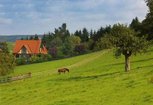 Surrounding environment, Kolliger Hirtenhaus in Nittel Surrounding environment, Kolliger Hirtenhaus in Nittel