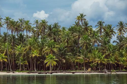 Privat Sailingyacht in San Blas in El Porvenir Privat Sailingyacht in San Blas in El Porvenir