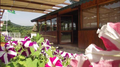 Lozyata Guest House in Obzor Lozyata Guest House in Obzor