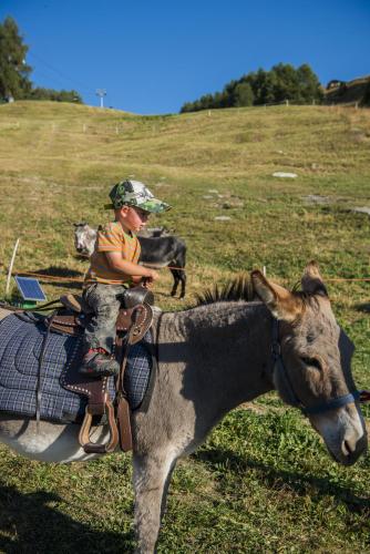 This photo about Appartements Hortensia shared on HyHotel.com
