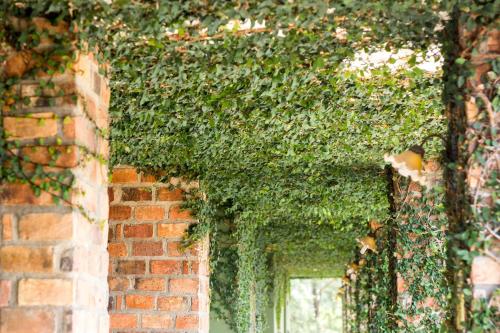 トニー ロッジ18