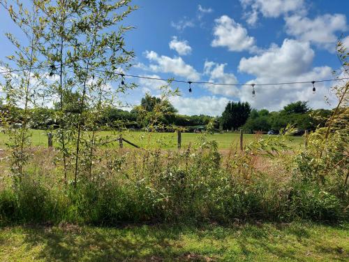 zahrada, Pitch your own tent in beautiful location Kent Sussex border in Lamberhurst zahrada, Pitch your own tent in beautiful location Kent Sussex border in Lamberhurst