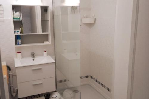 Fürdőszoba, T2 idéal étudiant + pro + parking protégé sous-sol (T2 ideal etudiant + pro + parking protege sous-sol) in Thouare Sur Loire Fürdőszoba, T2 idéal étudiant + pro + parking protégé sous-sol (T2 ideal etudiant + pro + parking protege sous-sol) in Thouare Sur Loire