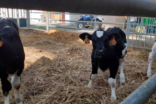 Gite a la ferme le vivier in Lottinghen Gite a la ferme le vivier in Lottinghen