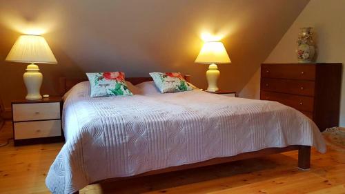 Beautiful Villa For Family/Couples in Moletai Beautiful Villa For Family/Couples in Moletai