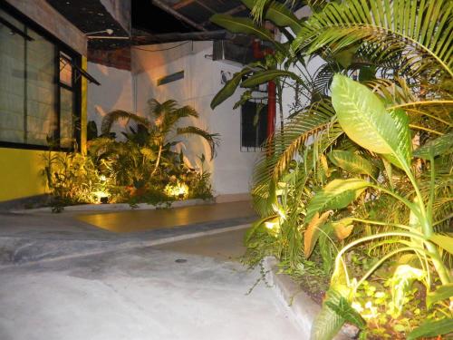 สวน, Hospedaje Neydita in อิกิโตส สวน, Hospedaje Neydita in อิกิโตส