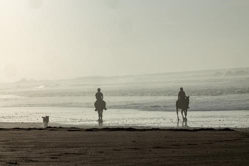pantai, Ranch les 2 gazelles in Mirhleft pantai, Ranch les 2 gazelles in Mirhleft