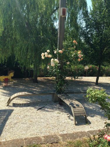 Garden, Il Casale dell'Acquabona in Montefano Garden, Il Casale dell'Acquabona in Montefano