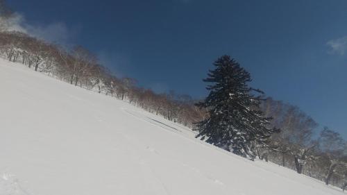 Sports and activities, Ski base in Niki Sports and activities, Ski base in Niki