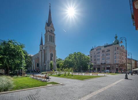 Sunny rooms at Danube